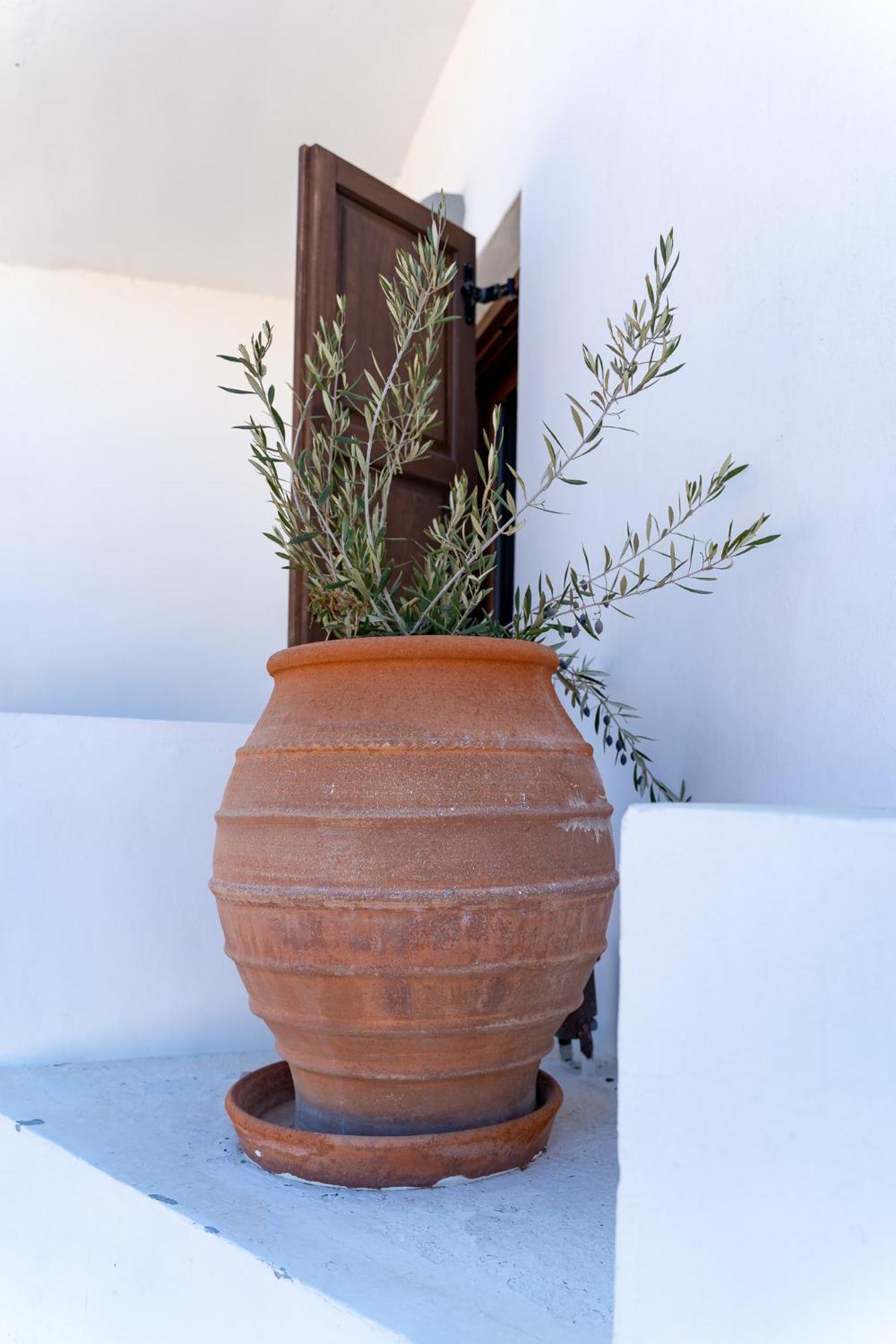 Theoxenia Kasos Luxury Apartments Panagia  Buitenkant foto